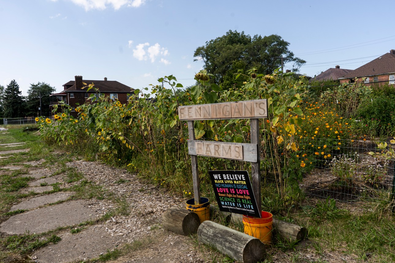 A large garden behind a sidewalk, a row of sunflowers and a sign that reads “Fennigan’s Farms.” Below, another sign states, “We Believe Black Lives Matter, No Human Is Illegal, Love is Love, Women’s Rights Are Human Rights, Science is Real, Water is Life, Injustice Anywhere Is a Threat to Justice Everywhere.”