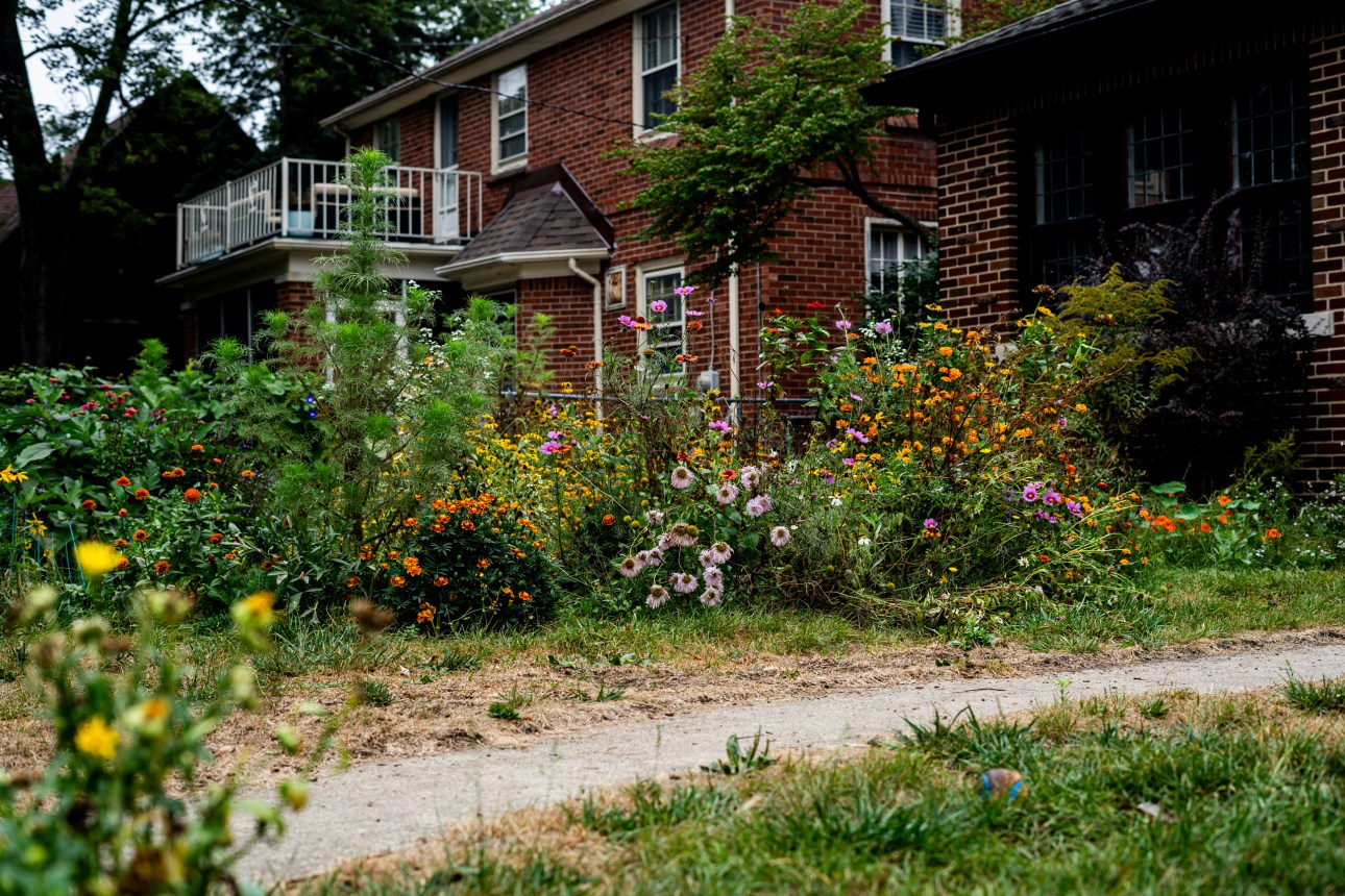 A vibrant garden filled with various colorful flowers, including orange, pink and purple blooms, lies in the backyard of a brick two-story house.