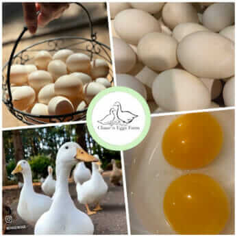 Collage of images from Chase'n Eggs Farm, with the business logo at the center.