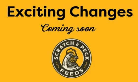 Screenshot from the Scratch & Peck Feeds website.