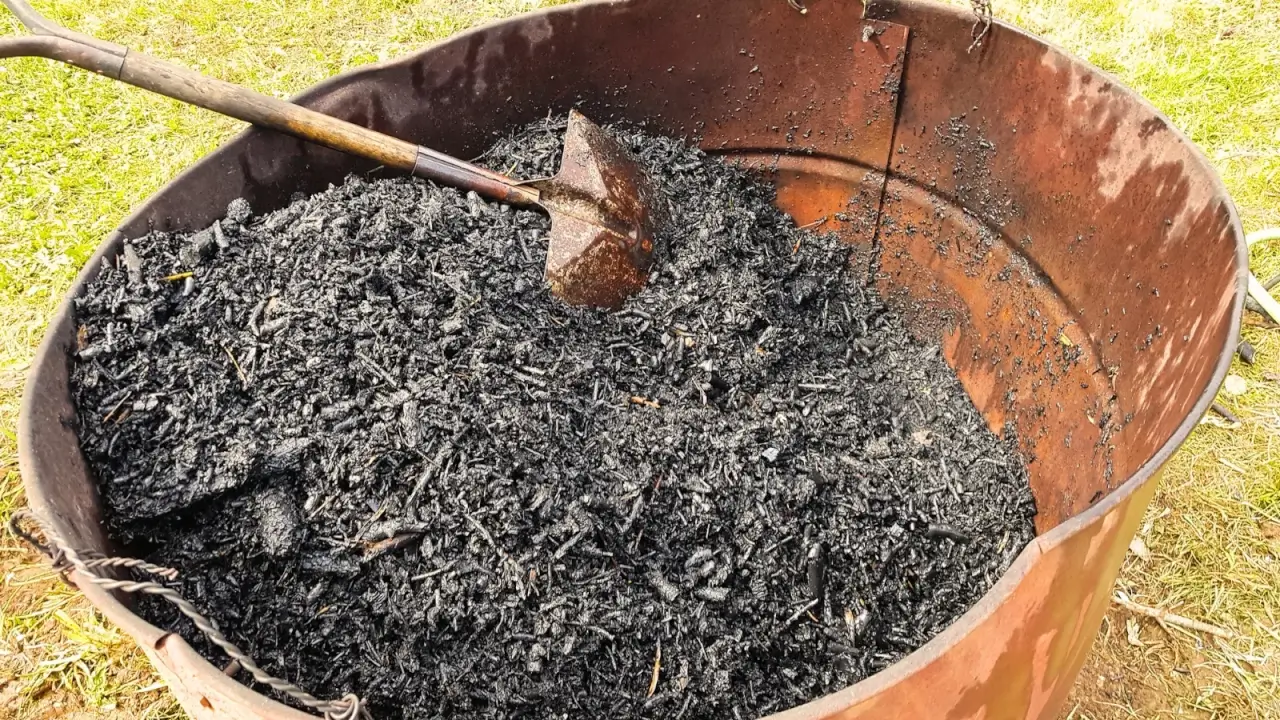 Close up of black textured biochar in a large rusty bucket with a garden spade stuck in it, against a green lawn background.