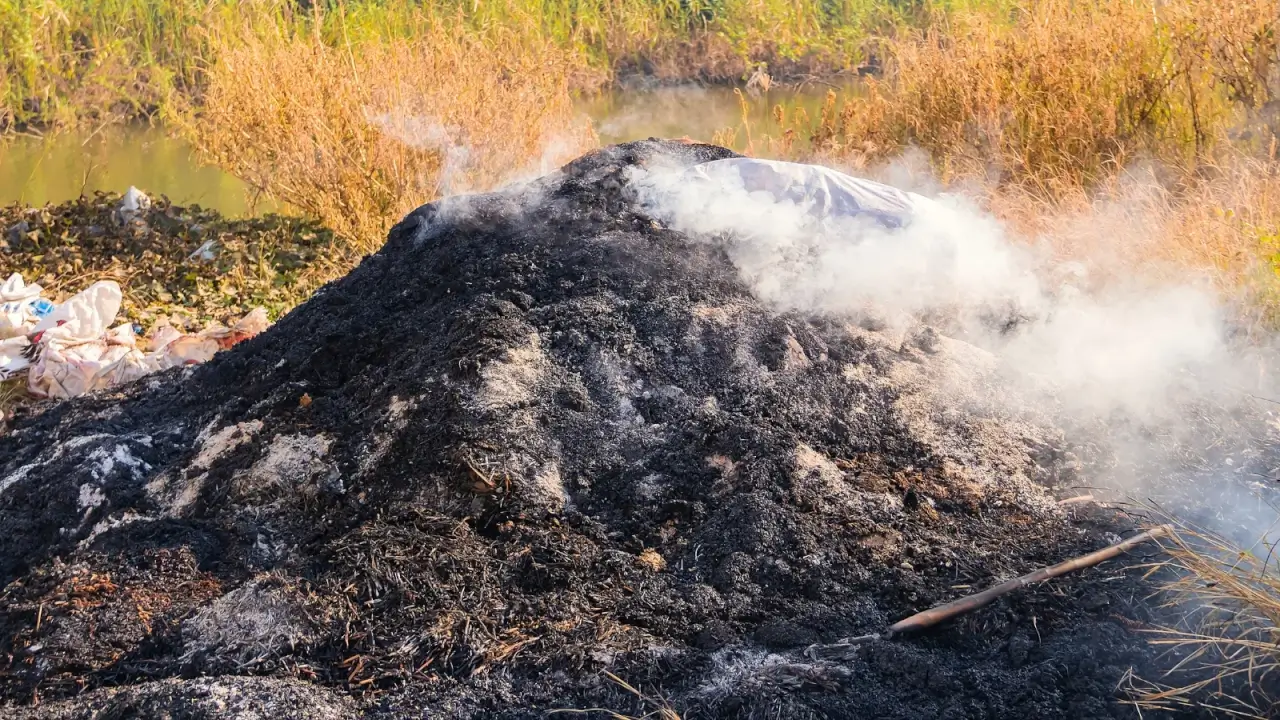 A large burning pile of haystack and agricultural waste, black in colour, with a plume of white smoke rising from it.