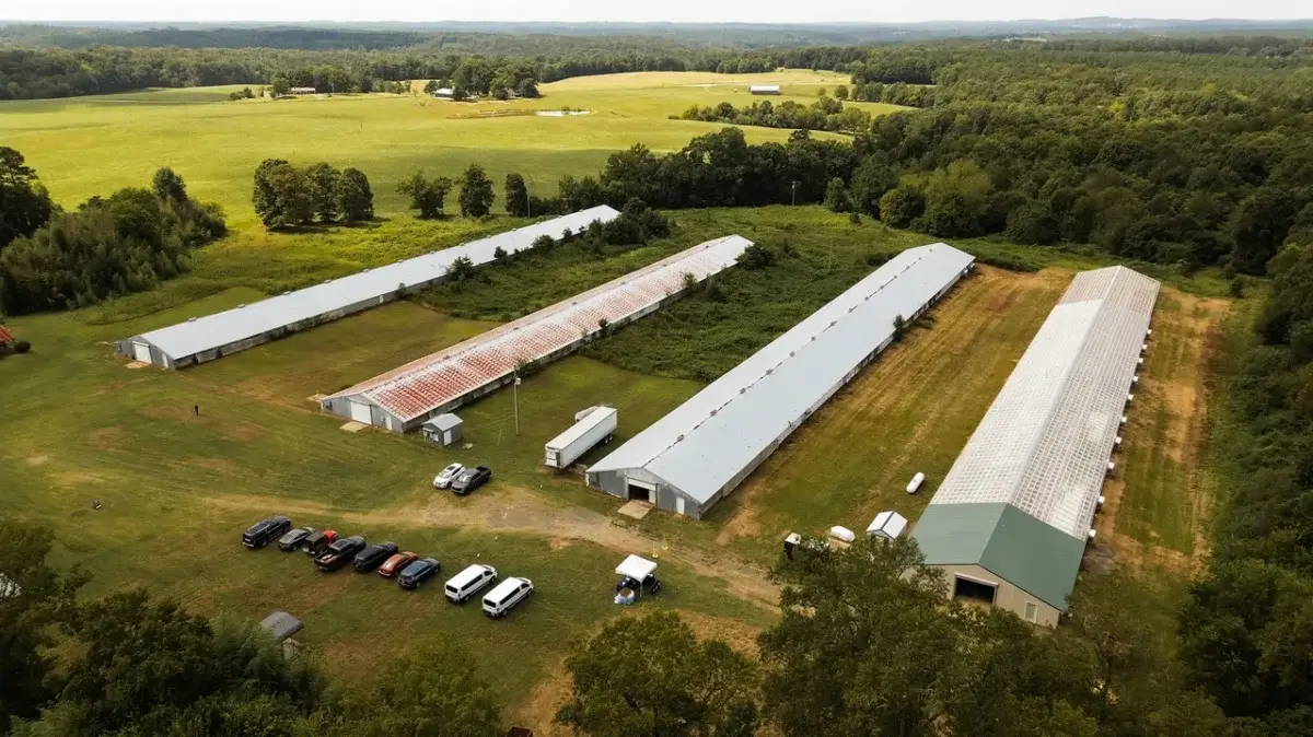 An aerial view of former chicken barns.