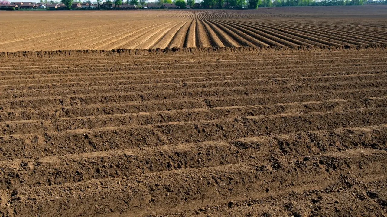 A large ploughed field with contours and patterns ready for planting.