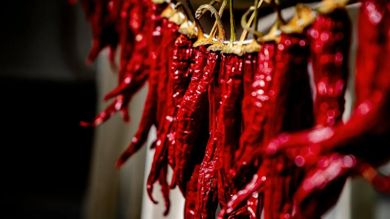 Close up of red chilli peppers hanging on a rope drying in the sun.