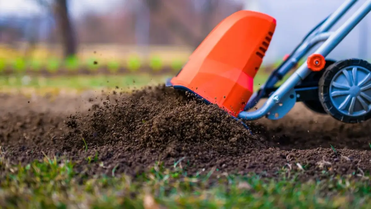 Managing spring soil compaction using a bright red mini cultivator in a garden bed.