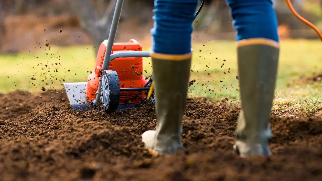 A gardener in high rubber boots tiling soil using a tiller to break up compacted soil.