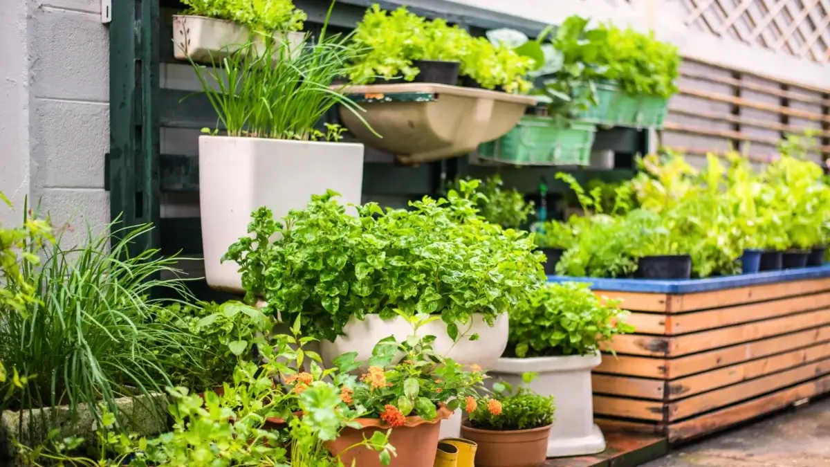 Urban farming garden idea with vertical planters, raised bed and containers full of various vegetables and flowering plants.